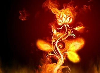 Fire Everywhere Animated Wallpaper Screensaver Version