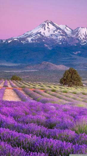 Beautiful Natural Lock Screen HD Samsung Galaxy S5 Wallpaper