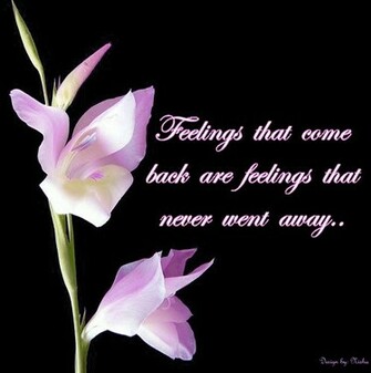 Wallpaper Emotional Love Quotes Image And Photos