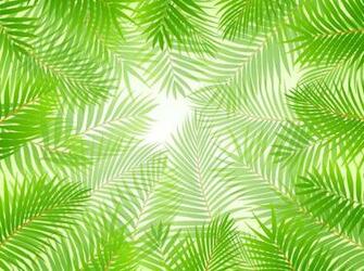 Leaf Elements Vector Background Name Tropical Green