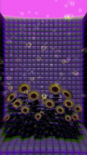 Vaporwave N Aesthetic Live Wallpaper For Android Apk