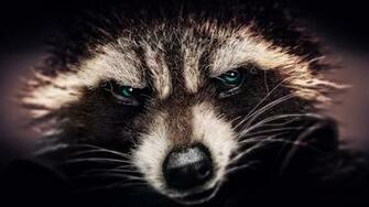Rocket Raccoon Wallpaper