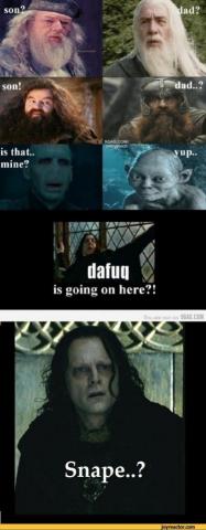 Dafuq By Atachi13 Meme Center Harry Potter Funny