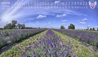 Calendar Wallpaper Originals High Definition