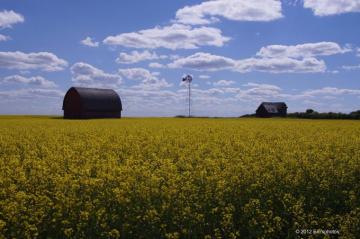 Wallpaper Sunlight Landscape Sky Field Clouds Yellow Blue