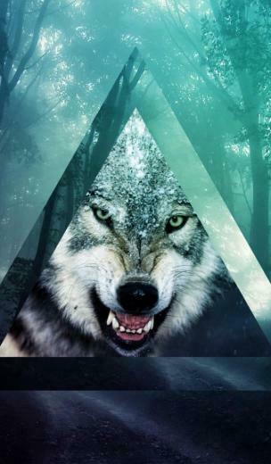 Fog Forests Hipster Png Wallpaper