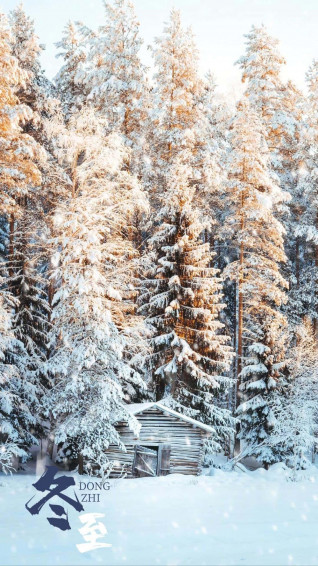 Snow Falling Wallpaper