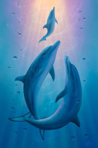 Cute Dolphin Wallpaper