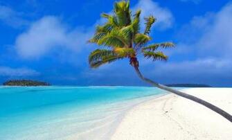 Best Nature Wallpaper For Smartphone
