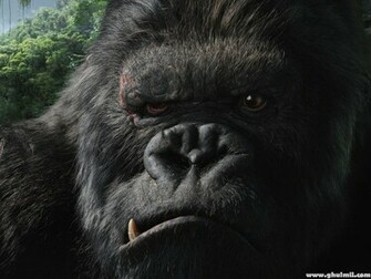 Amazing King Kong HD Wallpaper For Computers Desktops E