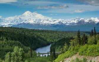 Charming Denali National Park Wallpaper And Stock