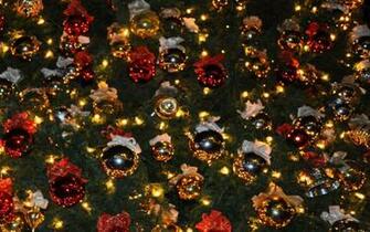 Christmas Lights Wide