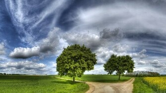 1080p Full HD Nature Wallpaper