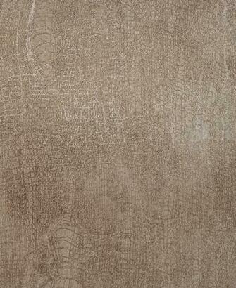 Elephant Skin Stacey Tranter Artisan Wallpaper