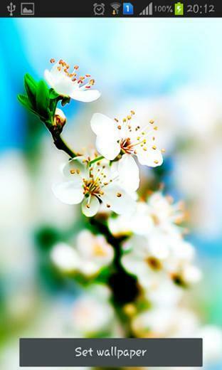Spring Is Coming Live Wallpaper For Android