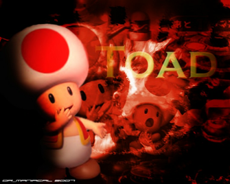 Toad Wallpaper Desktop Background