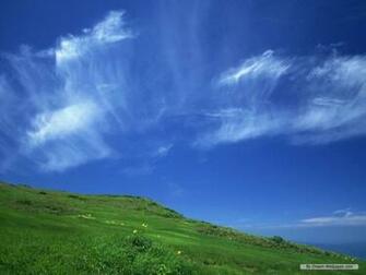 Wallpaper Nature Season Summer