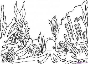 Step Draw A Coral Reef