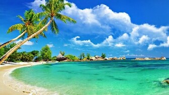 Sunny Beach Wallpaper