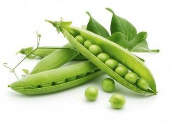 Pea Wallpaper Green Peas Photo Shared By Elsworth Fans Share Image