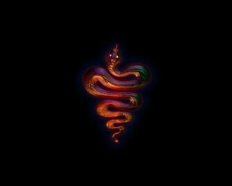Pin Black Snake Wallpaper Tattoo