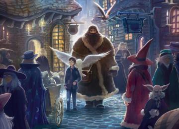 Harry Potter Fantasy Adventure Witch Series Wizard Magic