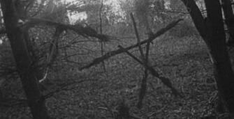 Blair Witch Wallpaper X Net