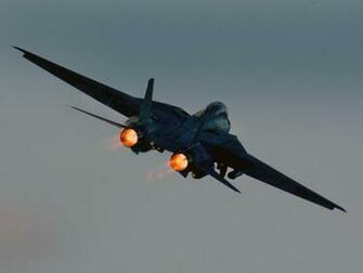 Tomcat HD Wallpaper Pictures