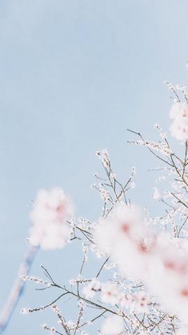 Aesthetic Background