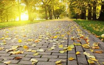 HD Wallpaper Nature Landscape Autumn Widescreen