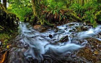 Rapid River Desktop Wallpaper