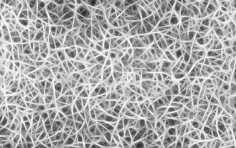 Texture Background Photo Bone