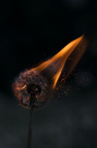 Dark Wallpaper HD Hq