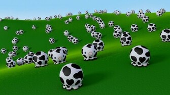 Cute Cows Wallpaper Takochu By
