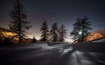 Winter Trees Night Wallpaper For Desktop Amp Mobile