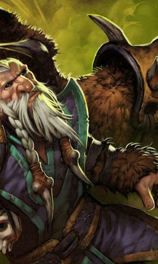 Video Games Valve Corporation Dota Lone Druid Wallpaper