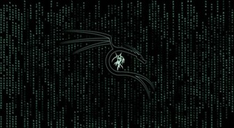 Kali Background