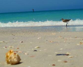 Sarasota Florida