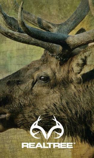 Wallpaper Background Realtree