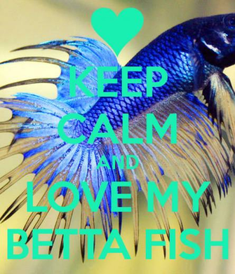 Cover Picture Pic Widescreen Wallpaper Normal