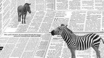 Black And White Zebra Wallpaper