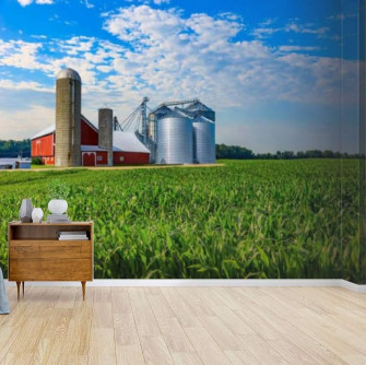 Amazon Midwest Farm With Spring Corn Crop And Red Barn Usa