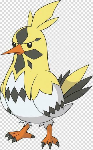 Starly Staraptor Staravia Pok Mon Diamond And Pearl Pokemon