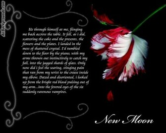 Am Sorry Wallpaper I Image Em