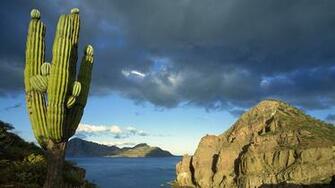 Danzante Island Sea Of Cortez Baja California Mexico HD