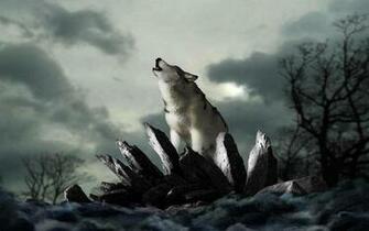 King Of The World Wallpaper HD Desktopinhq