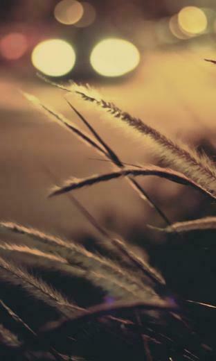 HD Wallpaper For Blackberry Z10 Just A