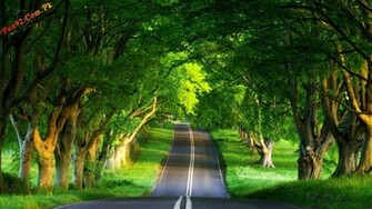 Desktop Very Beautiful Wallpaper Nature Summer Road HD Widescreen