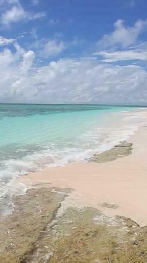 Beach Waves Live Wallpaper Android Apps On Google Play