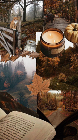 Fall Wallpaper For iPhone Best Autumn Artofit